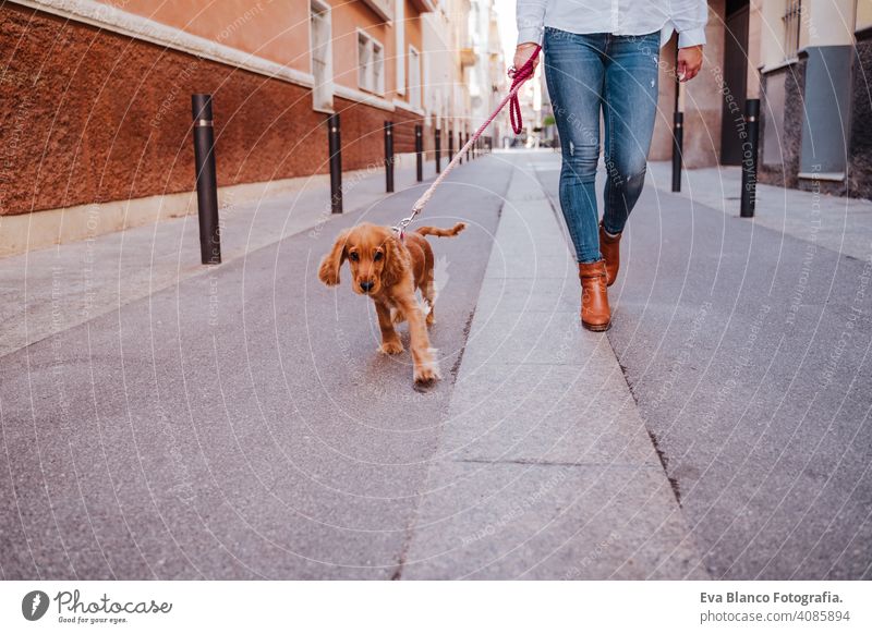 Junge Frau auf der Straße zu Fuß mit ihrem niedlichen Cocker-Hund. Lifestyle im Freien mit Haustieren Freundschaft Großstadt schön laufen Lächeln Tier außerhalb