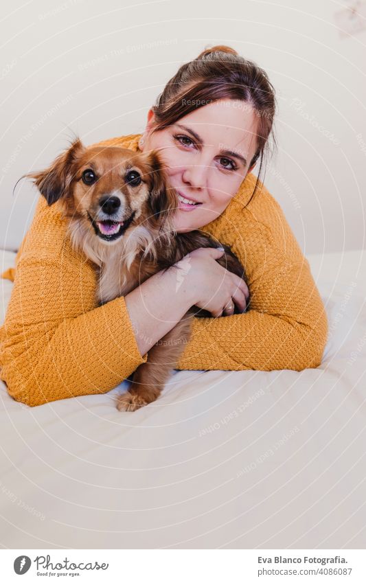 Junge Frau und ihr süßer Hund sitzen auf dem Bett. Liebe für Tiere Konzept. Ansicht von oben Lügen Morgen Schlafzimmer Welpe wecken Mädchen Komfort Sauberkeit