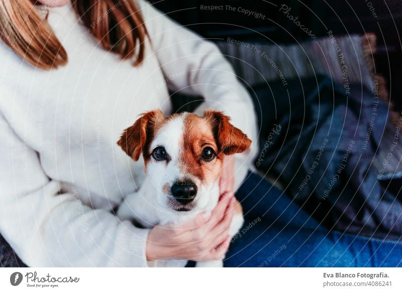 Frau und niedlichen Jack Russell Hund genießen im Freien am Berg in das Auto. Reisen Konzept. Wintersaison PKW Schnee Berge u. Gebirge reisen Lifestyle Fernweh