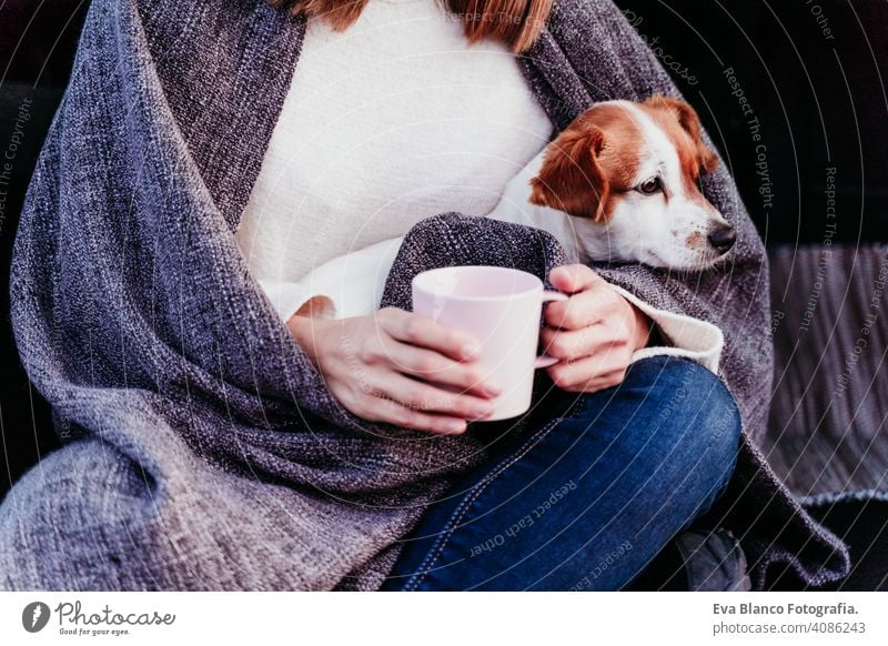 Frau und niedlichen Jack Russell Hund genießen im Freien am Berg in das Auto. Reise-Konzept. Wintersaison. Nahaufnahme PKW Schnee Berge u. Gebirge reisen