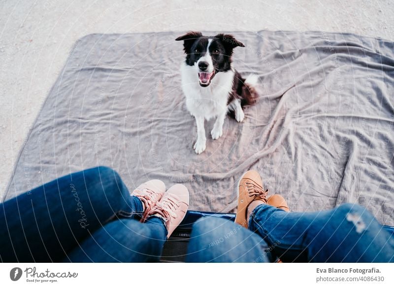 niedlichen Border Collie Hund und zwei Frauen Beine entspannen in einem van. Reise-Konzept Kleintransporter reisen unkenntlich klein Haustier Van Leben reisend