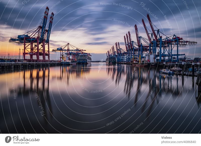 Nachts in Hamburg - Burchardkai II Spiegelung Wolken löschen entladen Schifffahrt dunkel beladen Containerschiff Krahn Langzeitbelichtung Lichter Terminal Hafen