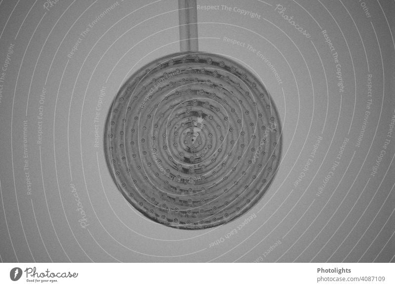 Kopfbrause einer Regendusche in s/w Dusche Wasser schwarz weiß grau silber Dusche (Installation) nass Wasserstrahl Duschkopf Bad Sauberkeit Reinigen