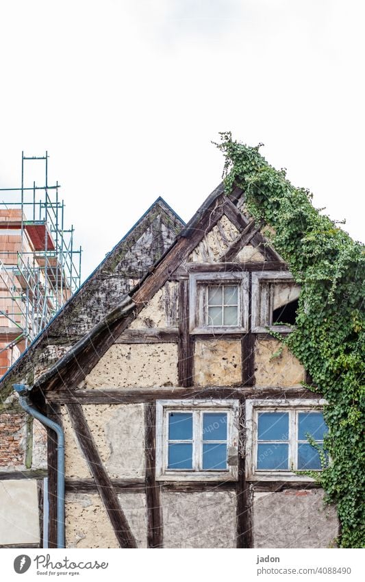 schöner wohnen. Haus Gebäude Fenster alt Architektur Neubau Altbau Bauwerk Mauer Fassade Gerüst Baustelle Menschenleer Wand Stadt Häusliches Leben