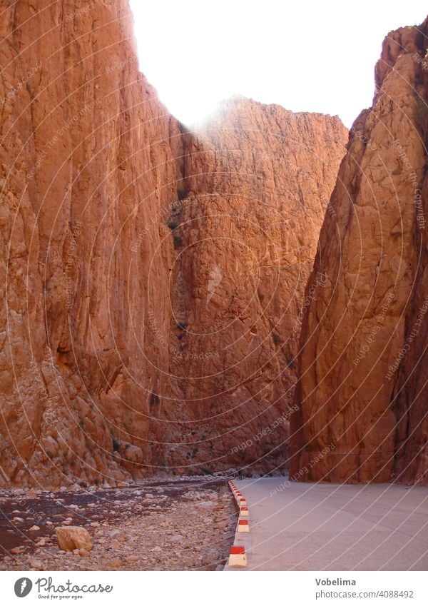 Todraschlucht im Hohen Atlas, Marokko Weg Afrika Nordafrika Hoher Atlas Atlasgebirge Schlucht Tal canyon klamm atlas rot rosa felse felsen steil landschaft