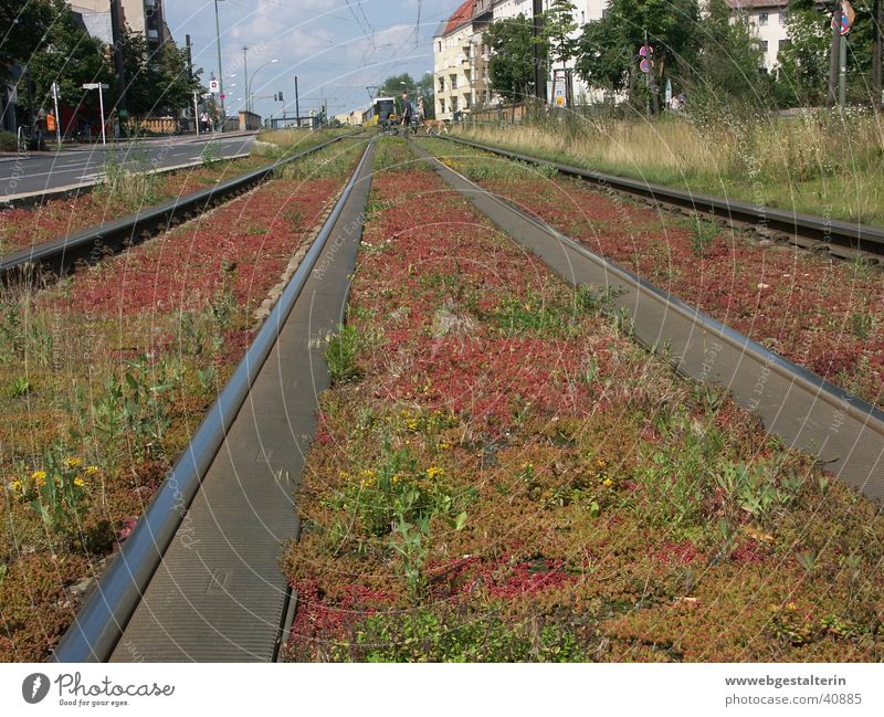 BerlinPrenzlauerBerg Gleise Stadt Straßenbahn Ferne Sehnsucht Ferien & Urlaub & Reisen