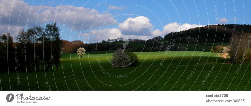 Thüringen Wald Wiese Waldlichtung Berge u. Gebirge