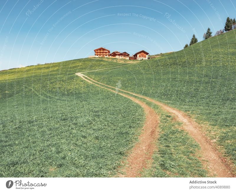 Landstraße, die zwischen grünem Feld in Waldnähe zu einem kleinen Dorf führt Landschaft Straße Spanien Route Pflanze Tanne Baum Himmel eng rennen blau führend