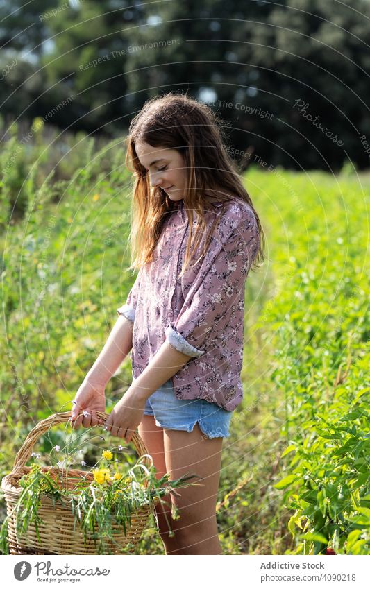 Lächelnde Teenager-Mädchen mit Korb von Kräutern Bauernhof Küchenkräuter herabsehend Feld Katalonien Spanien Anoia sonnig tagsüber lässig Ernte Lifestyle Natur