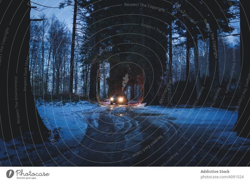 Auto fahren entlang schmutzigen Straße in Abend Wald PKW Winter Nacht Reiten dreckig Rückleuchten Glanz Illumination Schnee niemand kalt cool Saison Fahrzeug