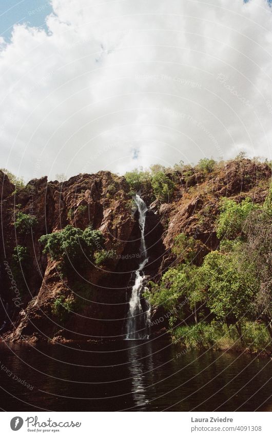 Der Wasserfall Litchfield National Park Australien Nationalpark Natur Felsen topend Tourismus Ferien & Urlaub & Reisen Außenaufnahme Berge u. Gebirge wild