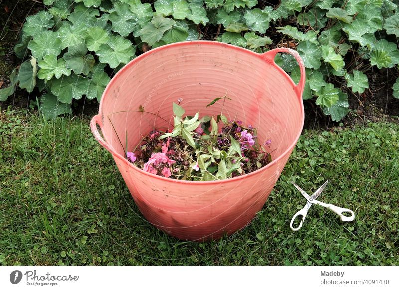 Leuchten roter runder Korb aus Plastik mit Gartenabfällen und Schere gegen Schnecken im Sommer in einem Bauerngarten in Rudersau bei Rottenbuch im Kreis-Weilheim-Schongau in Oberbayern