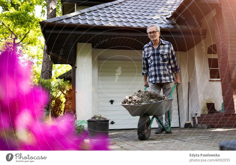 Älterer Mann schiebt Schubkarre bei der Arbeit in seinem Garten Senior älter Großvater alt Rentnerin in den Ruhestand getreten gealtert reif heimwärts Haus