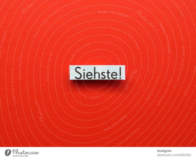 Siehste! Wissen Bestätigung gewusst wie Buchstaben Satz Letter Text Schriftzeichen Kommunikation Typographie Wort Mitteilung Sprache Menschenleer Kommunizieren