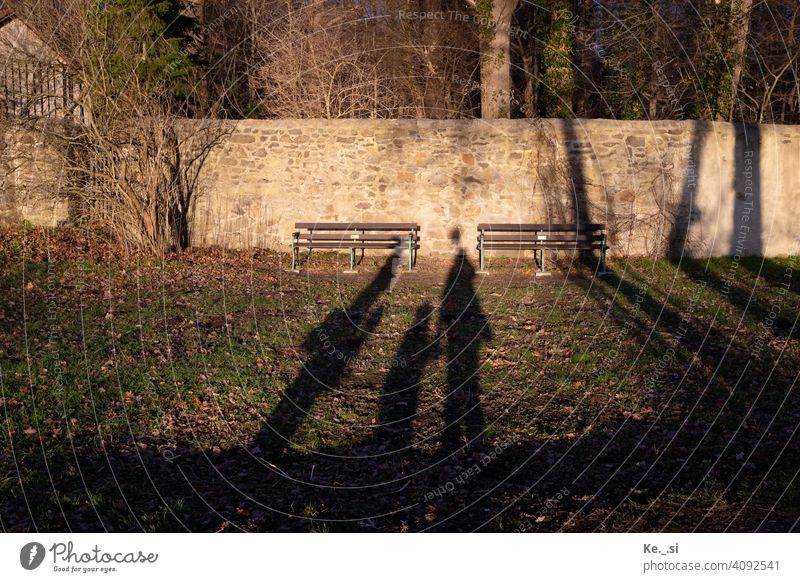 Schattenbild der Familie beim Abendspaziergang mit Blick auf Parkbank lange Schatten Mauer Abendlicht Available Light Wald Bäume Herbst Winter Natur Spaziergang