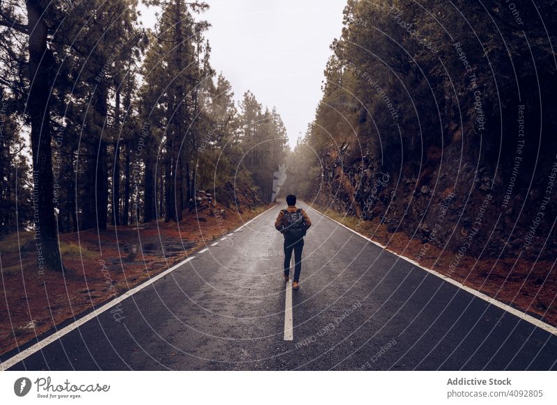 Reisende zu Fuß auf leerer Straße im Wald Reisender Rucksack Landschaft wandern Einsamkeit Nebel Wanderer Spanien Teneriffa Fahrbahn Windstille laufen ruhig