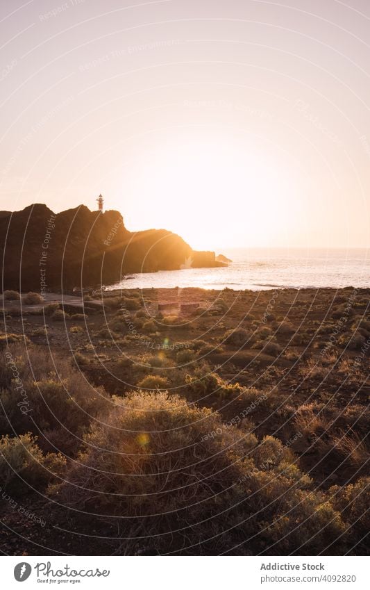 Felsige Küstenlinie bei hellem Sonnenuntergang Felsen Klippe Meeresufer Teneriffa Spanien malerisch Landschaft Leuchtturm MEER Strahl Natur Sonnenlicht Stein