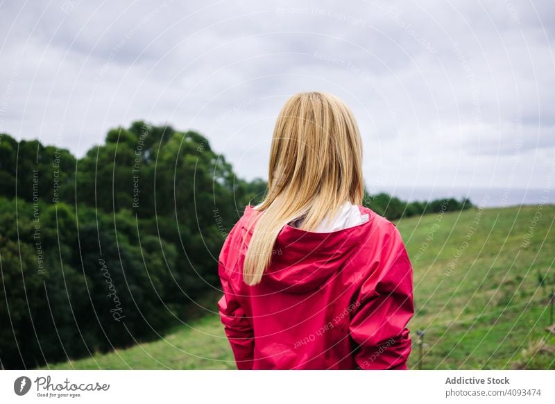 Frau steht auf dem Land und schaut weg friedlich Landschaft Feld genießend Wald Natur grün Erholung lässig Herbst Saison Dame Pflanze menschlich natürlich