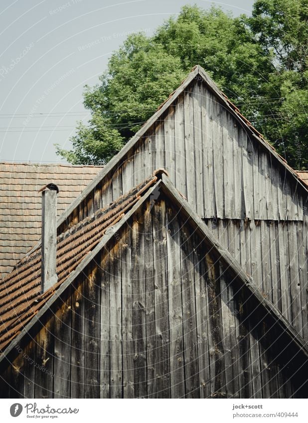 Stall & Stall Architektur Schornstein Holz alt authentisch Vergänglichkeit verwittert Holzbrett Dachziegel Dachgiebel ausgebleicht Strukturen & Formen Laubbaum