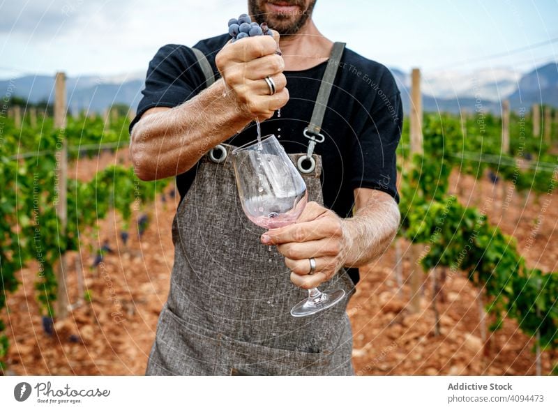 Mann füllt Glas mit Wein im Tal Weinberg eingießen besetzen männlich Arbeitskleidung Natur Weingut trinken Weinbau Ackerbau Lifestyle Sommer Traube Landschaft