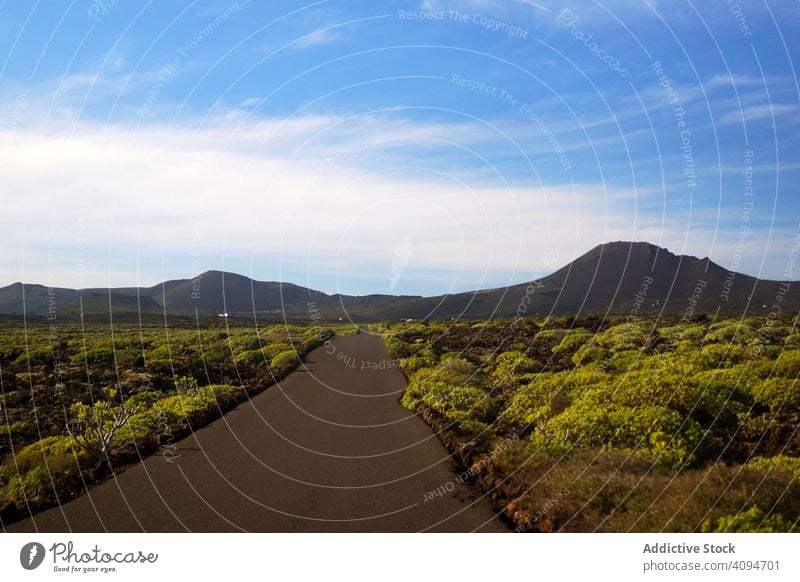 Endloses Fahren auf der Straße in die Berge entlang der Felder Berge u. Gebirge Natur Landschaft reisen Himmel grün Sommer Perspektive endlos Weg Ausflug Reiten