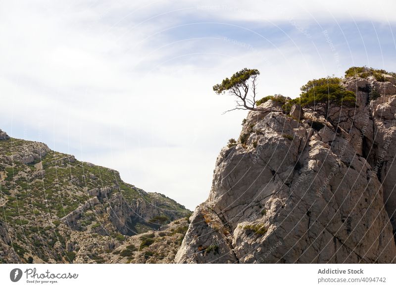 Berglandschaft mit weißen Felsen und Baum Kalkstein Berge u. Gebirge Landschaft Calanques Massiv Frankreich Europa national Park Natur reisen touristisch