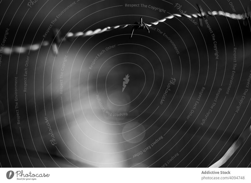Gespannter Stacheldraht Draht mit Stacheln versehen Metall Stamm gespannt Begrenzung Sicherheit Zaun Verbrechen Gefängnis Schutz Lager Borte Krieg Inhaftierung