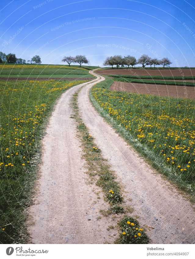 Feldweg im Odenwald Weg SOMMER Landleben Hessen Acker Felder richtung linie kurve baeume fruehling fruehjahr landschaft deutschland europa