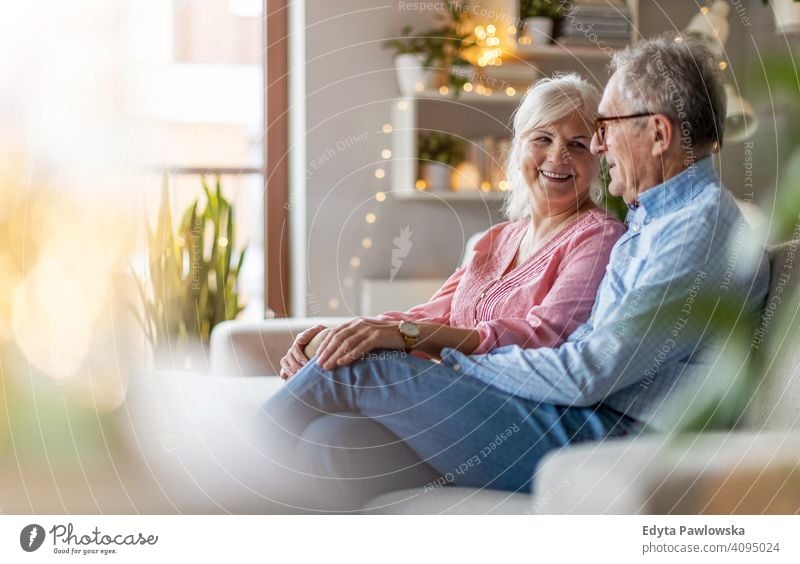 Porträt eines älteren Paares, das sich zu Hause entspannt Menschen Frau Erwachsener Senior reif lässig attraktiv männlich Mann Lächeln Glück Kaukasier