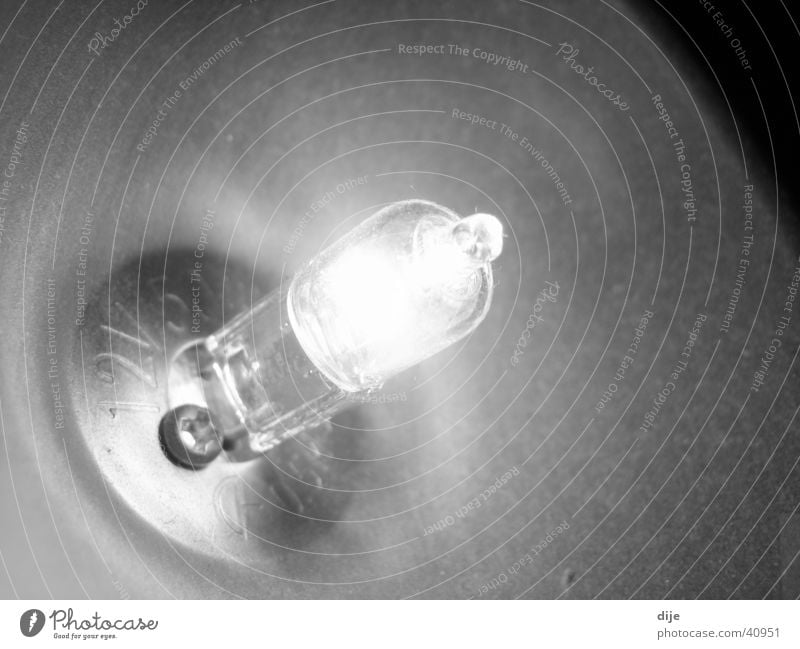 12V 50W Lampe Glühbirne Häusliches Leben Schwarzweißfoto Metall Wattenmeer Elektrizität