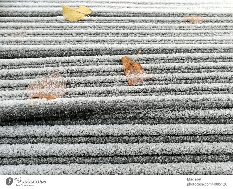 Raureif und Herbstlaub bei Minusgraden im Herbst auf gestapeltem Baumaterial im Freien in Lemgo bei Detmold in Ostwestfalen-Lippe Reif Frost Kälte Winter