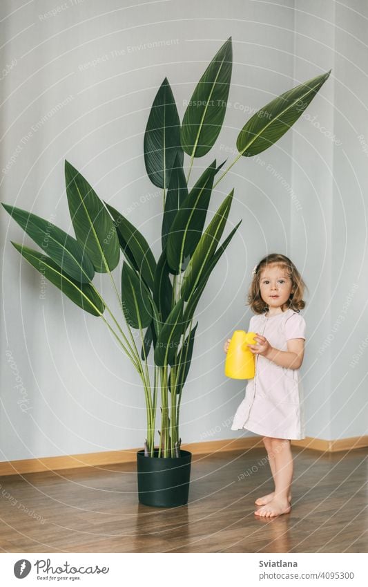 Kleines Mädchen gießt Blumen zu Hause, hilft bei der Pflege von Pflanzen Kleinkind Kind wenig heimwärts Wasser niedlich Bewässerung Dose kleiner Blumenladen