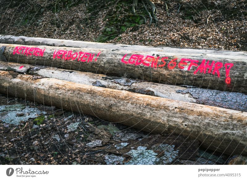 Betreten Verboten! Lebensgefahr! Holzscheite holzscheit Brennholz Holzstapel Stapel Baum Wald Nutzholz Forstwirtschaft Umwelt Abholzung Baumstamm geschnitten