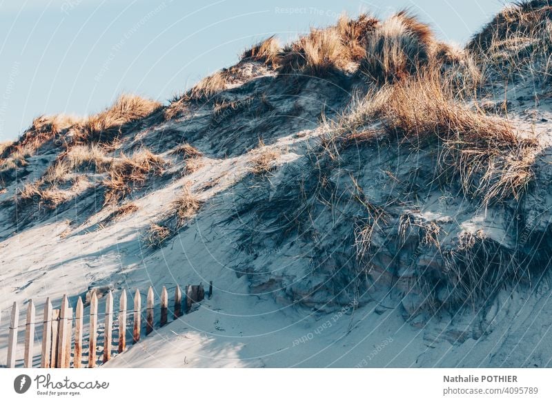 Dünen an der Opalküste in Frankreich Küste MEER Strand Nordsee Sand Meer Nordseeküste Landschaft Außenaufnahme Farbfoto Tourismus Tag Ferien & Urlaub & Reisen