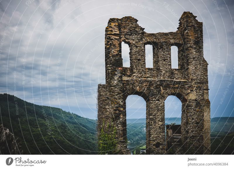 Alte Ruine Grevenburg an der Mosel Mosel (Weinbaugebiet) Moselsteig moseltal Fluss wandern Wanderer Moseltal Idylle Rheinland-Pfalz Traben-Trabach Weinberg