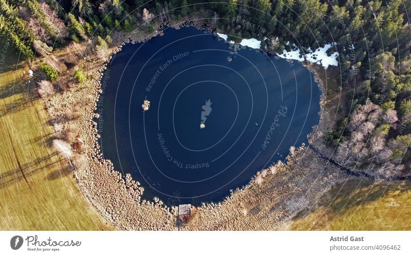 Luftaufnahme mit einer Drohne im Frühling von einem kleinen See mit Graugänsen in Bayern luftaufnahme drohnenfoto see gewässer wasser moorsee frühling herzform