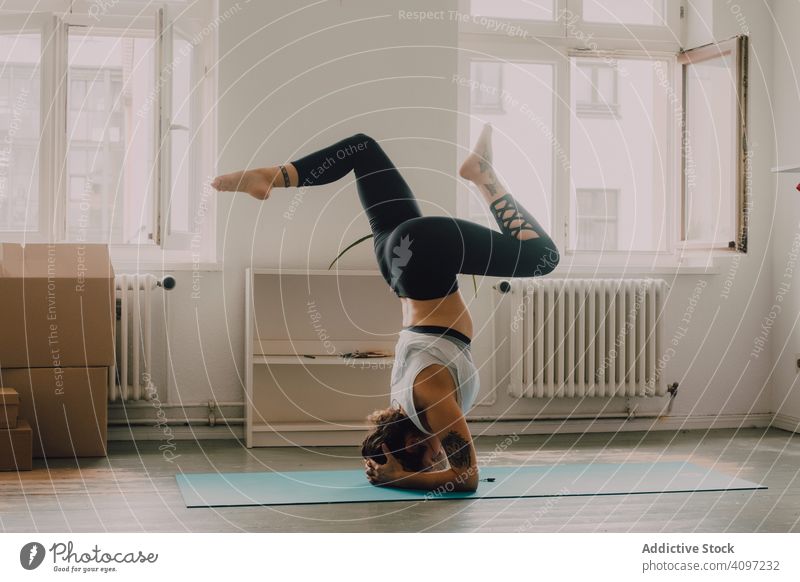 Fitte Frau, die zu Hause Yoga-Pose praktiziert und auf dem Kopf steht üben positionieren Kopfstand heimwärts Sportkleidung passen Asana Übung Stock Appartement