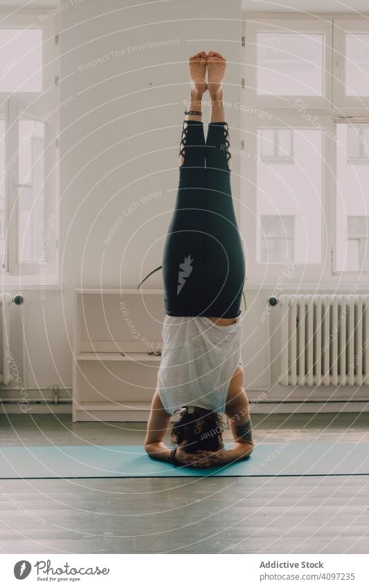 Fitte Frau, die zu Hause Yoga-Pose praktiziert und auf dem Kopf steht üben positionieren Kopfstand heimwärts Sportkleidung passen Asana Übung Stock Appartement