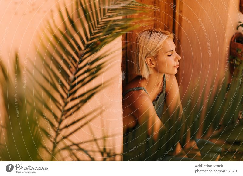 Junge Frau sitzt auf der Türschwelle Pflanze sitzen Hof Garten Vorstadt Flora Wachstum Vegetation jung Gartenbau Anwesen heimwärts gemütlich blond Harmonie