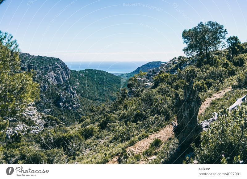 Blick vom Gipfel eines Berges in Katalonien. angefressen mehrschichtig Schlucht Natur im Freien Reiseziele Berge u. Gebirge Spanien Estragona Abstieg Moment