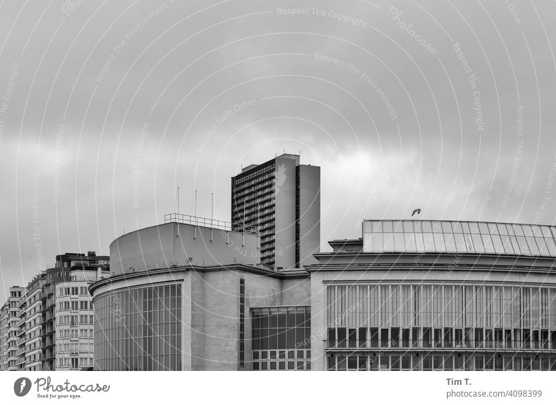 die Konzerthalle am Strand von Oostende in Schwarz Weiß Belgien Außenaufnahme Nordsee Küste Menschenleer Gebäude Konzerthaus Theater Plattenbau Hochhaus