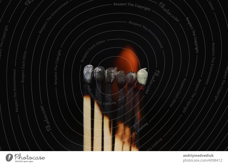 Brennende Streichhölzer auf schwarzem Hintergrund. Streichhölzer auf Feuer in der Reihe der Verbrennung ist Sequenz, während ein Streichholz bleiben unten von brennenden zu vermeiden, Feuer zu verbinden vor schwarzem Hintergrund