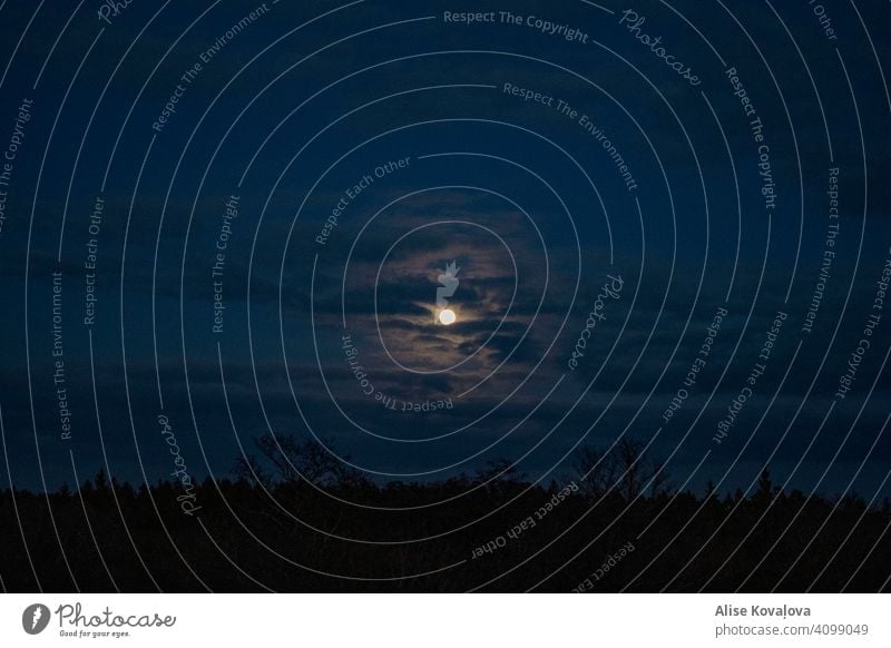 Nachthimmel himmelblau Mond Mondschein dunkel Dunkelheit Landschaft Himmel wolkig bewölkter Himmel Natur Wolken Farbfoto Licht Stimmung