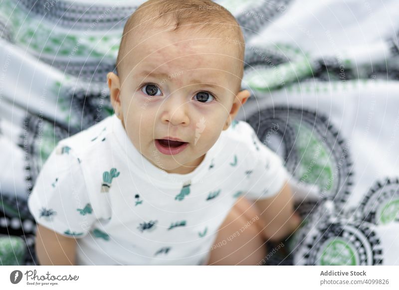 Fröhliches, charmantes Baby, das auf einer Decke sitzt und in die Kamera schaut Lächeln Sitzen Obstgarten Feiertag Kind freudig Kindheit Spielen wenig heiter