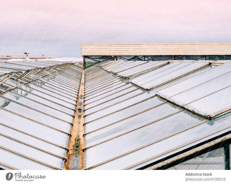 Glasgewächshausdächer bei bedecktem Himmel Gewächshaus Dach Bauernhof ländlich Business Garten Arbeit Anlaufstelle Gartenbau Polycarbonat Konstruktion