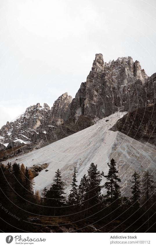 Große Berge in der Nähe von Kiefernwald bei bewölktem Wetter Wald Himmel bedeckt wolkig Natur Landschaft reisen Saison ländlich Baum schön Felsen Hügel Freiheit