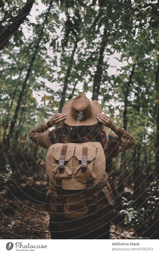 Unbekannter Wanderer rückt Hut im grünen Wald zurecht Frau wandern ausrichten Rucksack Baum Natur Abenteuer stylisch Flora üppig (Wuchs) Laubwerk lässig