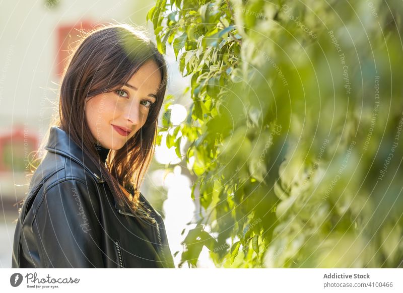 Charmante Frau neben Buschblättern auf der Straße Baum charmant Angebot heiter Blätter Pflanze Laubwerk urban Natur stylisch brünett elegant Vorschein Buchse