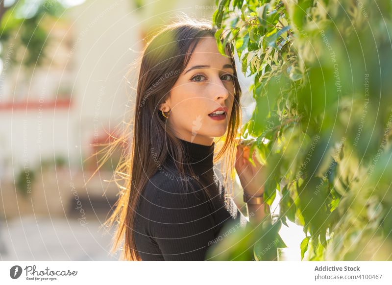 Charmante Frau neben Buschblättern auf der Straße Baum charmant Angebot heiter Blätter Pflanze Laubwerk urban Natur stylisch brünett elegant Vorschein Buchse