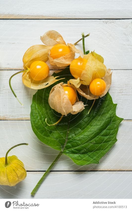 Physalis-Frucht (Physalis peruviana), auch Uchuva, Kapstachelbeere oder Goldbeere genannt, heimisch in Peru, auf einem weißen Holzbrett mit Blättern. uchuva